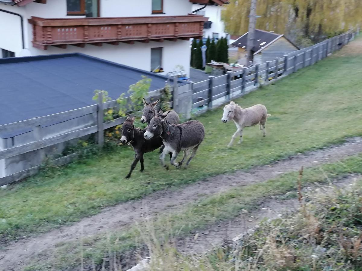 Ferienwohnung Knabl Fliess Bagian luar foto